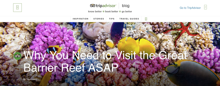 screen-shot-2017-01-17-at-12-07-34-pm